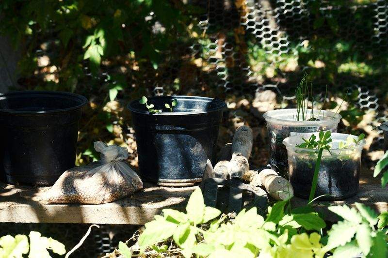 みどり結び園芸株式会社 11